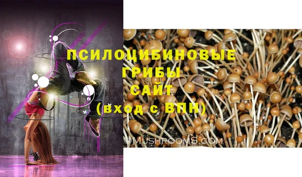 mdpv Белокуриха