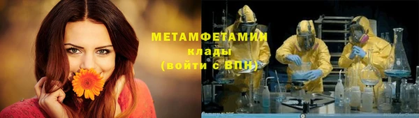 индика Белоозёрский
