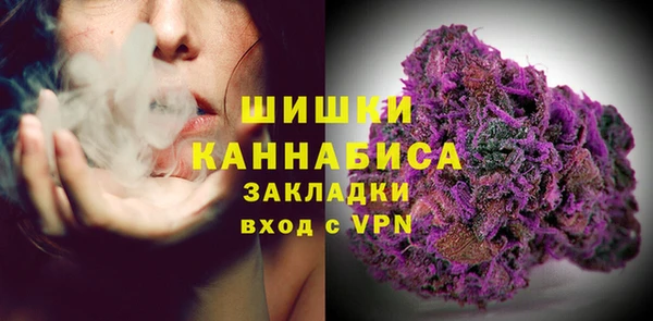 индика Белоозёрский
